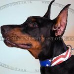 Doberman Pinscher Leather Collar with Stars and Stripes Ornament