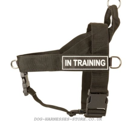 Saint Bernard Dog Harness of Nylon with ID Patches, Bestseller!