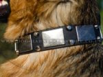 German Shepherd Dog Collar Bestseller in UK