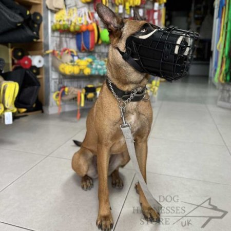 Training and Walking Dog Muzzle Covered with Black Rubber