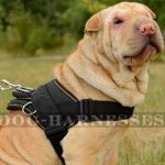 Shar-Pei Harness of Nylon for All-Weather and Multipurpose Use