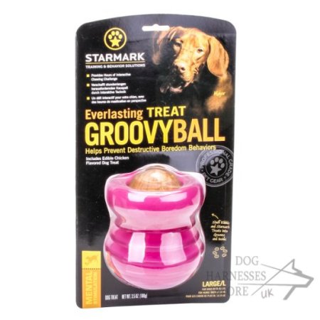 Starmark Everlasting Groovy Ball Dog Chew Toy of Large Size