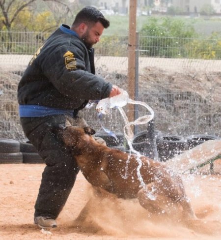 Dog Bite Suit for Full Protection and Safety During Attacks