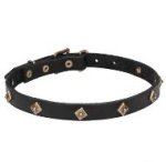 "Rhombuses" Thin Leather Dog Collar with Brass Decor for Walks