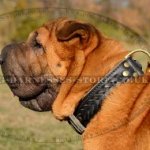 Shar-Pei Collar UK Decorated with Braids Two-Ply Strong Leather