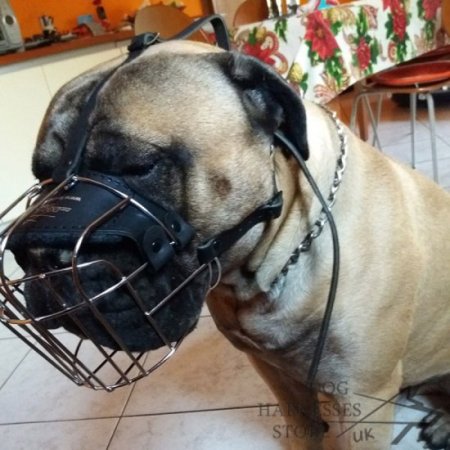 Wire Dog Muzzle UK Universal for Every Breed Walking, Training