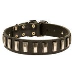 Fancy Dog Collar Leather with Nickel Plates for Strong Canine