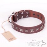 Brown Leather Dog Collar FDT Artisan "Stellar Fairy"