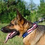 Painted Dog Collar 'American Pride' for GSD Bright Style