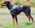 Dog Harness Vest for Doberman, Mobility and Support Nylon Jacket