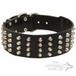 Extra Wide Leather Dog Collar with 4 Rows of Nickel Pyramids