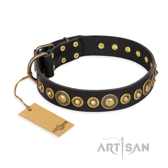 Black Leather Dog Collar FDT Artisan "Gold Mine" with Studs