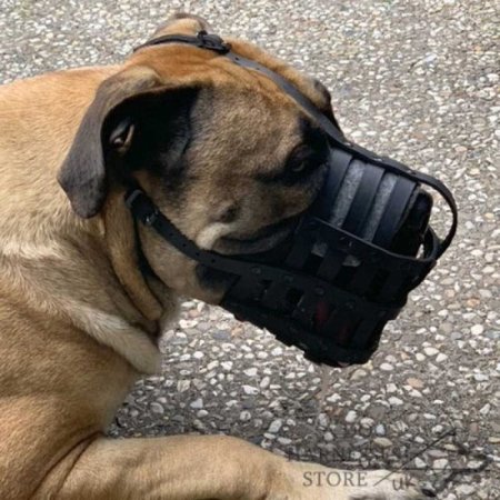 Leather Dog Muzzle for Every Breed, Best for Everyday Use