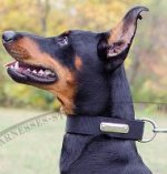 Personalized Dog Collar of Nylon with Blank ID Tag for Doberman