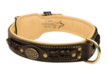 Akita Dog Collar of Royal Design for Walks in Style