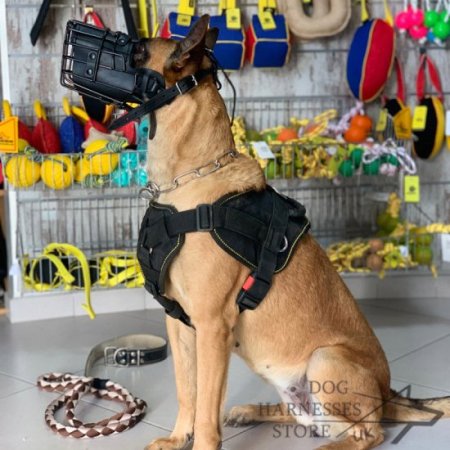 Bestseller! Sport Dog Harness UK of Nylon for Belgian Malinois