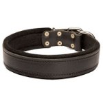 Padded Leather Dog Collar, Soft Felt Lined Safe Inside Area