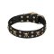 Artisan Dog Collar "Jolly Roger", Leather with Skulls and Studs