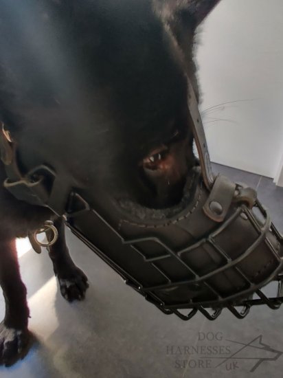 German Shepherd Basket Muzzle with Rubber Coating and Leather