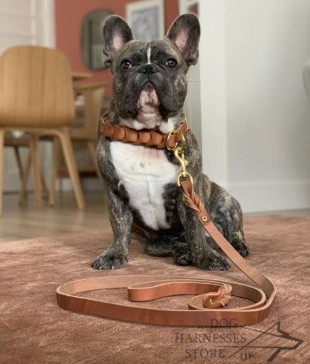 Leather Dog Leash UK with Braids Decoration
