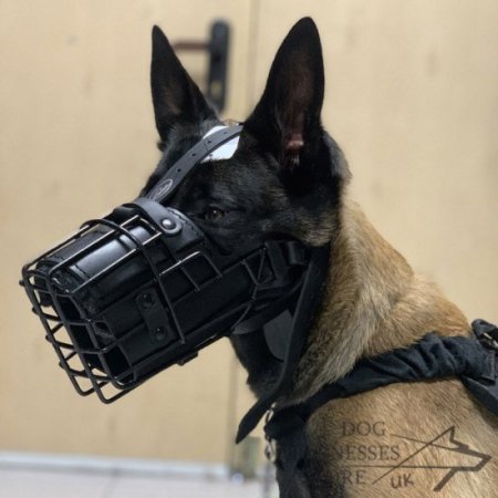 Training and Walking Dog Muzzle Covered with Black Rubber