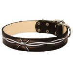 Unique Dog Collar with Exclusive "Barbed Wire" Hand Painting