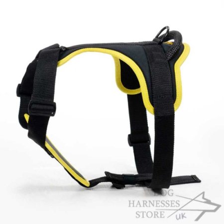 Black Nylon Dog Harness with Soft Padding for Maximum Comfort