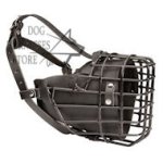 Training and Walking Dog Muzzle Covered with Black Rubber