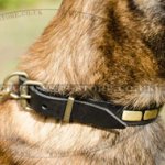 Leather Dog Collar Necklace Style for Belgian Shepherd Walking