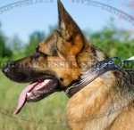 Unique Dog Collar "Barbed Wire" Painting for German Shepherd