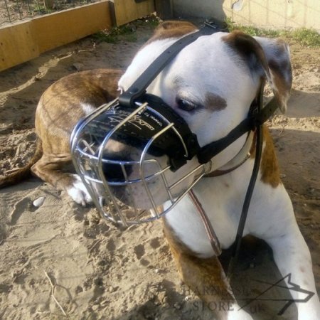 Wire Dog Muzzle UK Universal for Every Breed Walking, Training