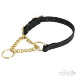Brass Chain Martingale Collar with Leather Strap and Control