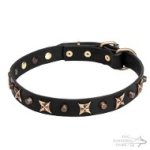 Leather Dog Collar for Walking with Bronze-Like Stars and Cones