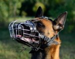 Dog Muzzle for Belgian Malinois Training and Work_1