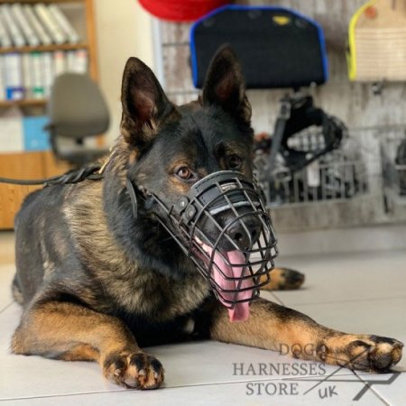 German Shepherd Muzzle Rubber Covered Wire, Best for Winter