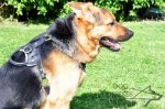 German Shepherd Leather Dog Harness for Walking and Training_5