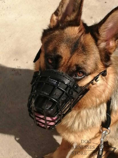 German Shepherd Muzzle Rubber Covered Wire, Best for Winter