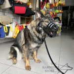 Leather Dog Muzzle for Every Breed, Best for Everyday Use_8
