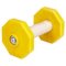 Wooden Dumbbell for Dogs with Yellow Weight Plates