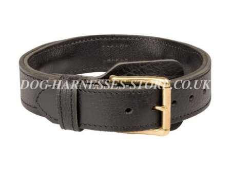 Bestseller! German Shepherd Agitation Collar Leather with Handle