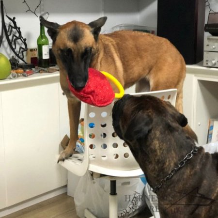 Dog Bite Tug Round Pillow of French Linen for Training