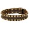 Fashion Dog Collar Leather with "Caterpillar" Style Brass Studs
