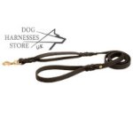 Leather Dog Leash UK with Extra Handle and Braided Decoration
