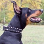 Dog Collar for Doberman Pinscher, Nylon with Two Rows of Spikes