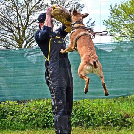 Super Comfortable Protective Scratch Pants for Dog Training