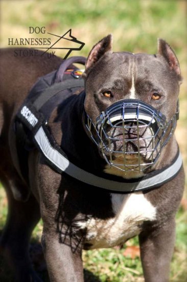 Nylon Dog Harness for Pitbull Training with Reflective Strap