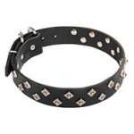 Dog Collar Couture with Diamond Form Chrome Plated Studs