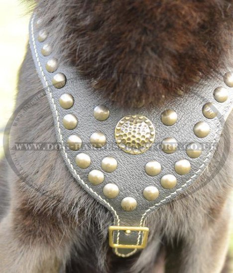 Luxury Dog Harness Studded and Padded Chest for German Shepherd