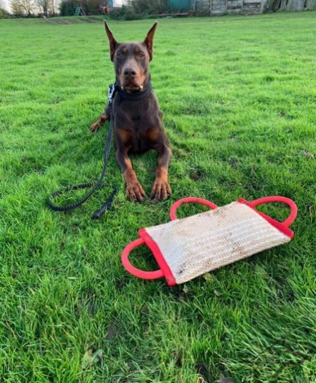 Jute Bite Pillow for Dog Training with Three Convenient Handles