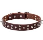 Leather Dog Collar Studded with Stars and Spikes Chrome-Plated
